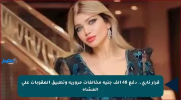قرار ناري.. دفع 48 ألف جنيه مخالفات مرورية وتطبيق العقوبات على المشاة